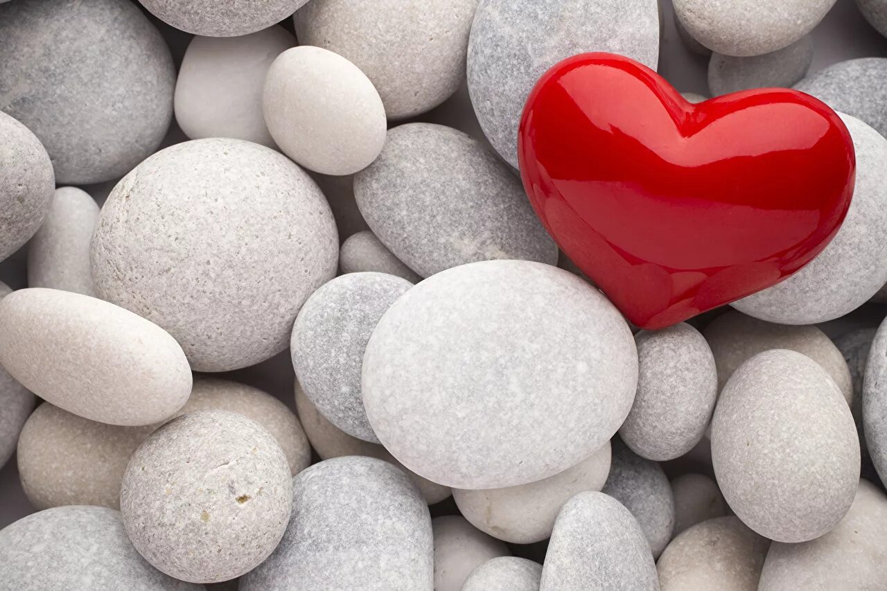 красивые сердечки. красивое сердце. заставки на телефон красивые сердечки. сердце на розовом фоне. заставки на телефон красивые сердечки.