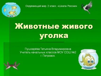 Какие животные животные углы