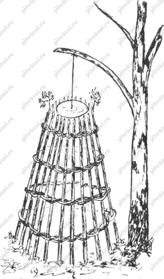 Чертежи ловушки фазана