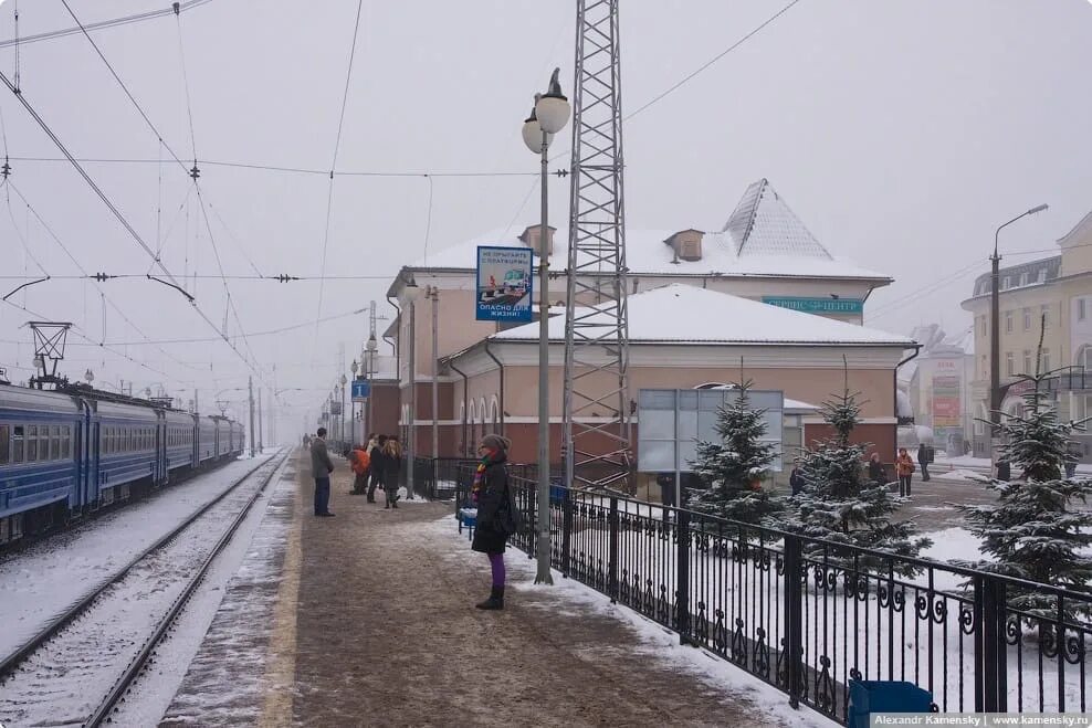 Садовый массив форносово санкт петербург. Павловские линии. Павловские линии. Рогавка новолисино. Станция павловский посад.