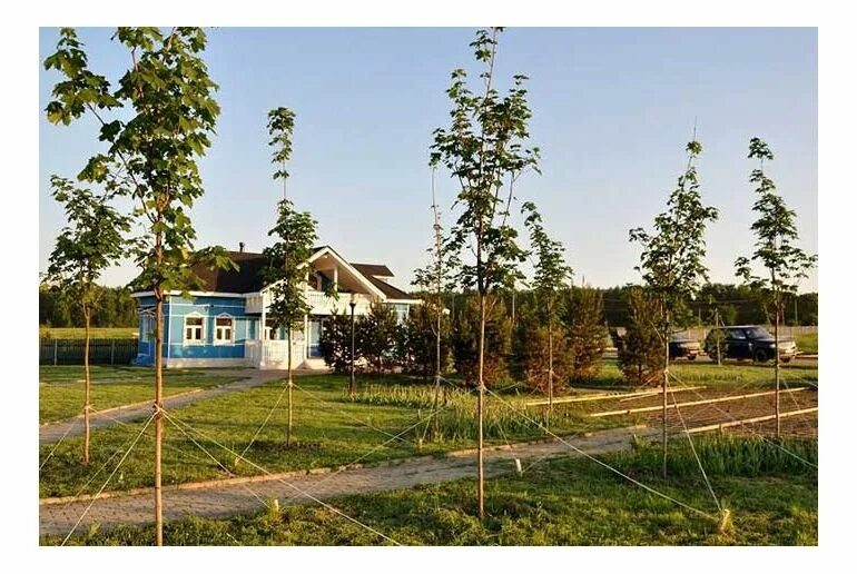 Дер. Участок в дачном поселке. Ясногорье тульская область. Ясногорье коттеджный поселок. Кп ясногорье тульская область.