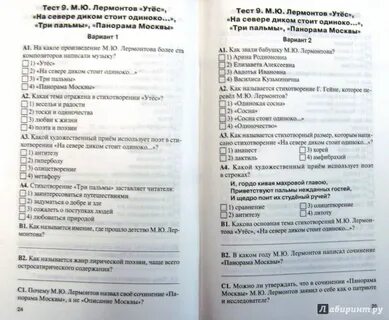 Тест богатырский век