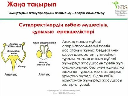 Рио карнавалында жалаңаш