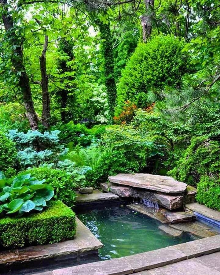 Get Inspired: 25 Gorgeous Pond Waterfall Designs Waterfalls backyard, Pond lands