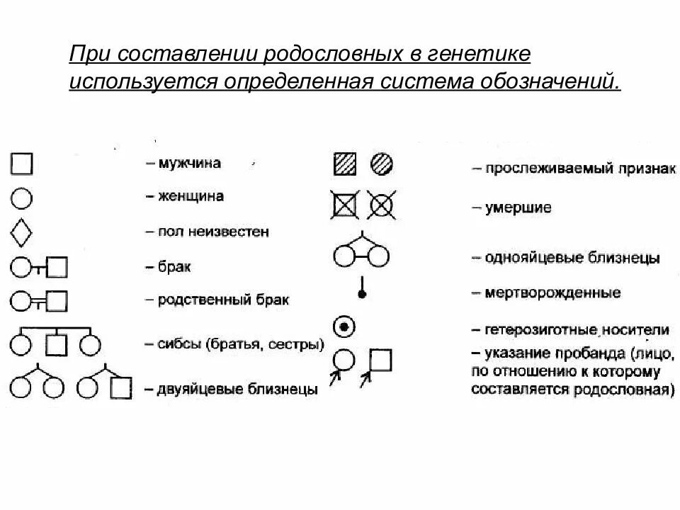 Условные обозначения генетики. Родословная по генетике обозначения. Генеалогическое Древо генетика обо. Генеалогическое Древо обозначения генетика.