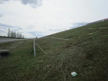 Кривое поле