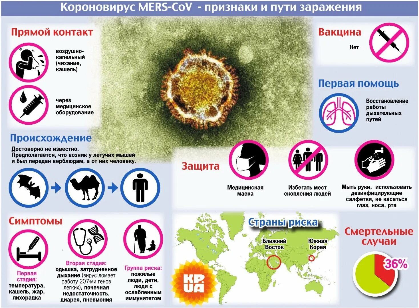 Заразился ли коронавирусом. Профилактика вирусов. Способы борьбы с вирусными инфекциями. Коронавирус и профилактика инфекционных заболеваний.