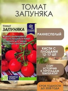 Семена помидор запуняка