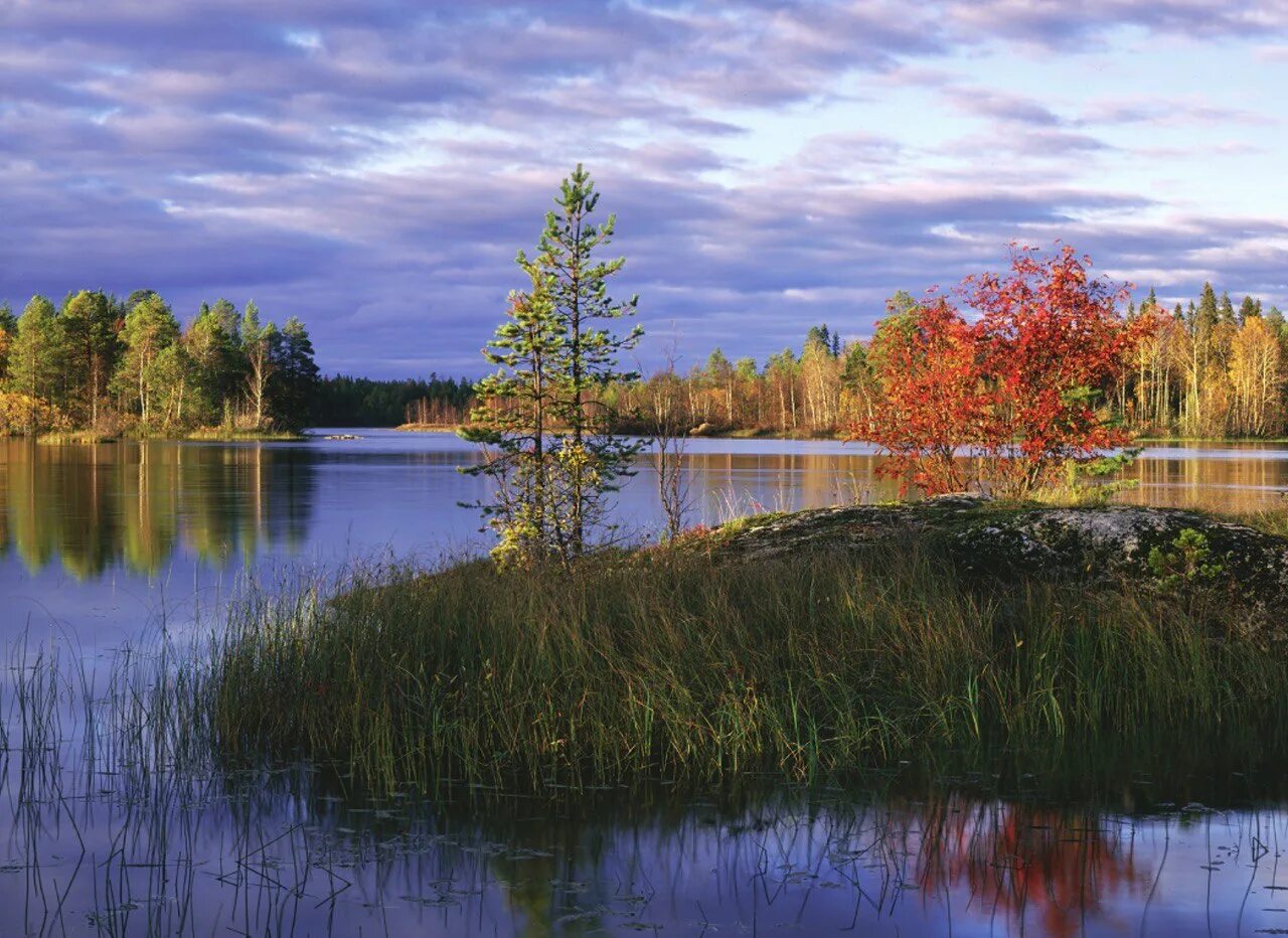 Природа северо запада района. Кемь Карелия осень природа. Озеро Пелусозеро Карелия.осень. Карелия Калевала ламбушки осень. Река Вожма Карелия.