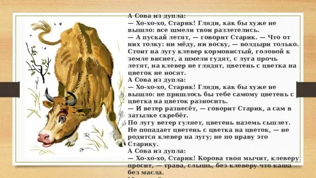 Бианки хвосты текст. Старик и Сова сказка. Рассказ старик и Сова. Сова старик и корова. Старик и Сова текст.