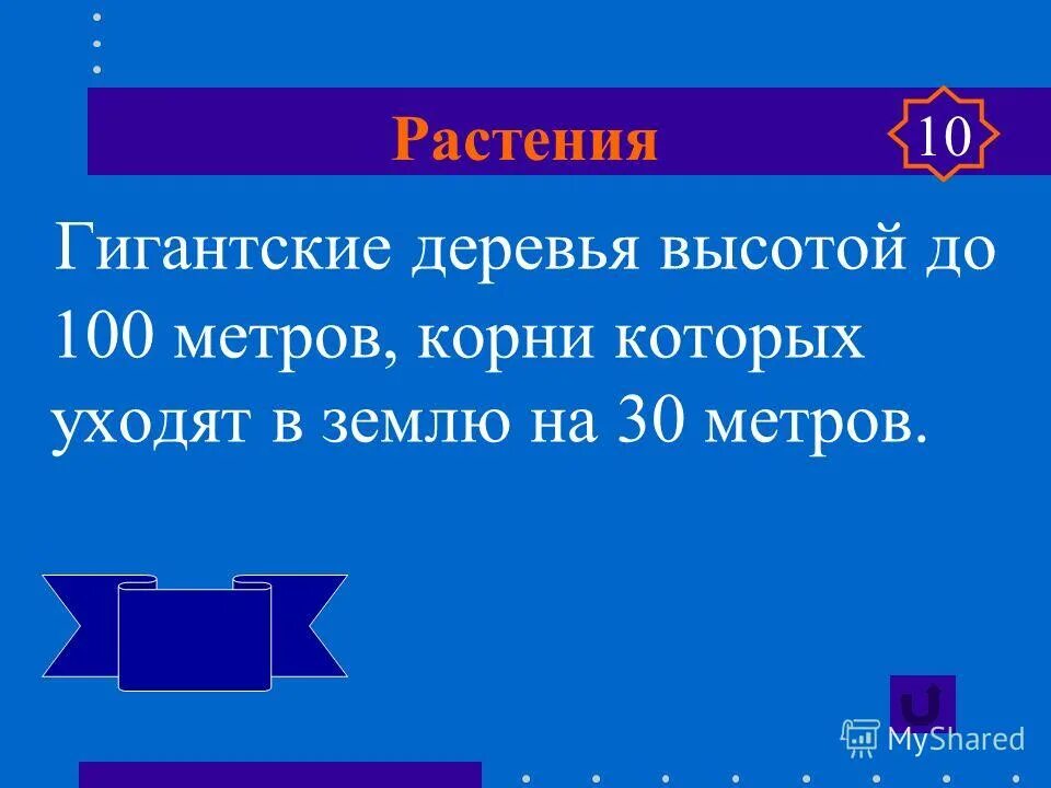 что называют сердцем австралии. победы на материке. озеро эйр сообщение. озеро эйр – «самое сухое» озеро мира. вопросы на тему озеро.
