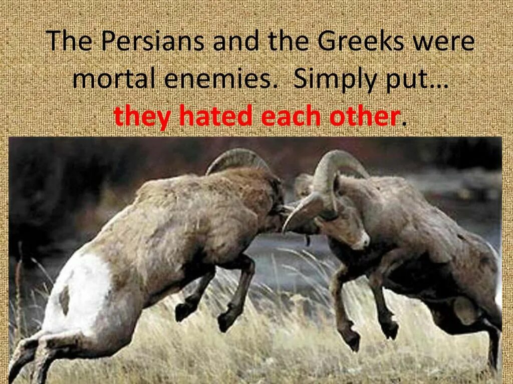 Hated each other. Ладить с кем-то картинки. Unforgettable night. Культурный конфликт. Hated each other.