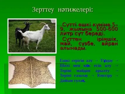 VIP ayol pornosini onlayn tomosha qiling