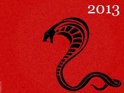 Змея скорпион 2024 год