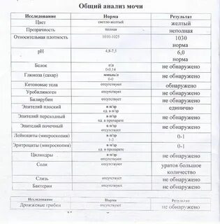 Общая моча это какая