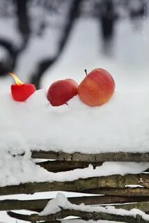 Снежное настроение