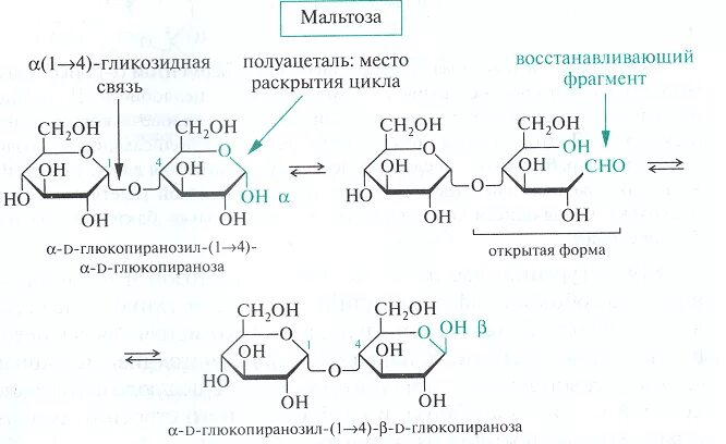 Реактив феллинга. Фруктоза реактив селиванова уравнение. реакция молиша уравнение реакции. мальтоза с реактивом селиванова. реакция молиша с фруктозой.
