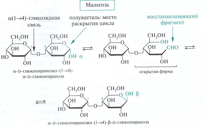 Мальтоза и реактив Селиванова. Фруктоза реактив Селиванова уравнение. Реакция с реактивом Селиванова. Реакция Молиша с фруктозой. Фруктоза селиванова