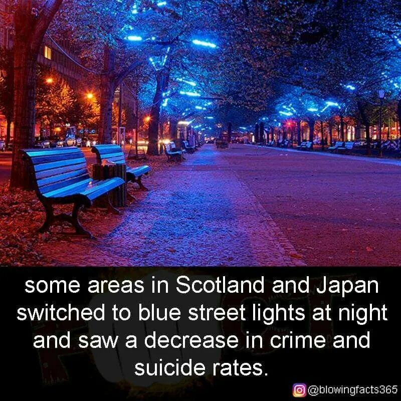 Street with Blue Lights Night. Blue street