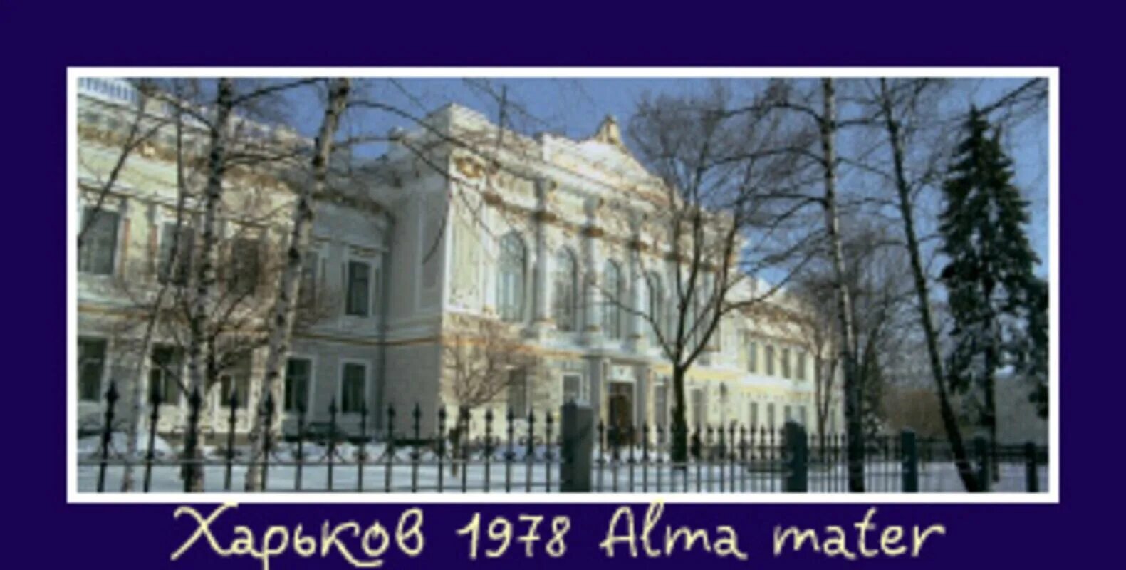 Университет им мудрого