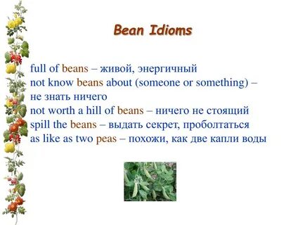 Full of beans перевод