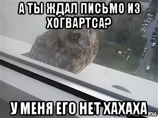 Напишу письмо и буду ждать