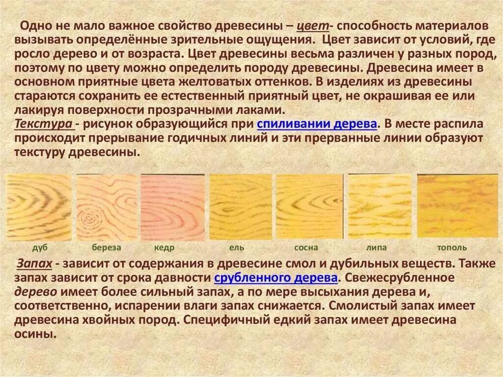 Свойства разных пород древесины таблица. Таблица хвойных пород древесины. Образцы древесины. Цвета пород дерева.