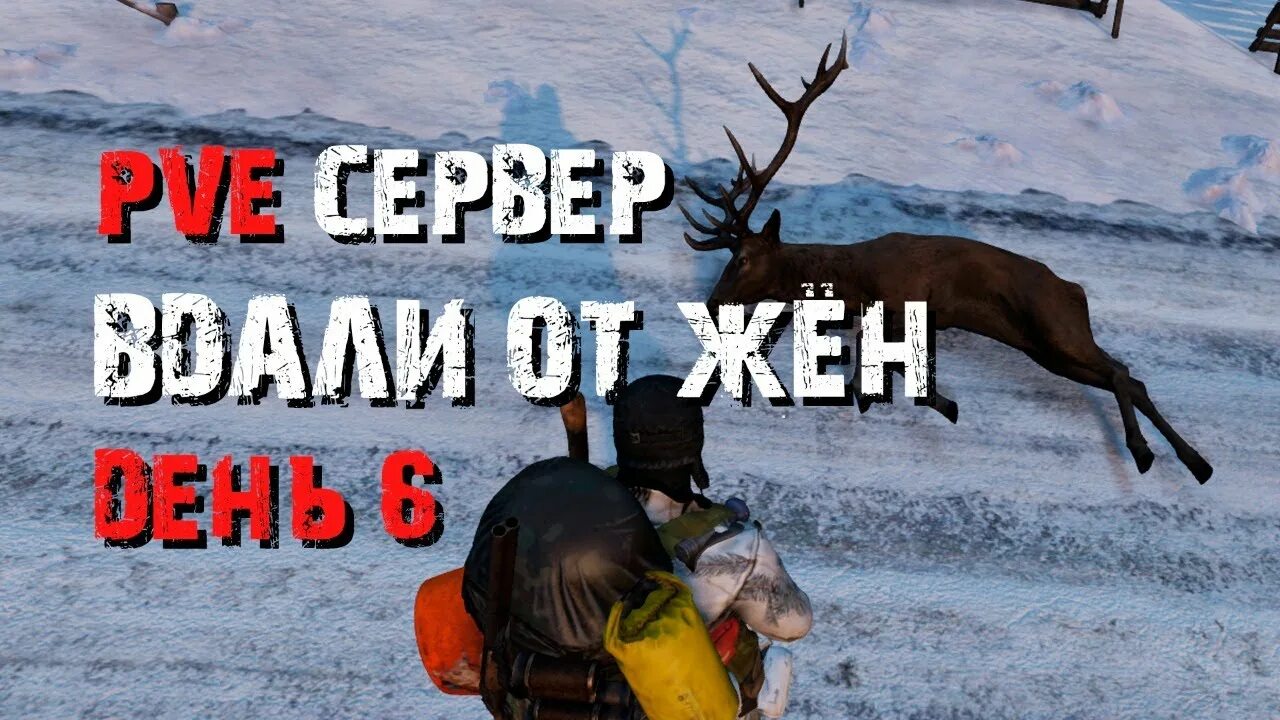 Вдали от жен dayz. Дейз вдали от жен пве. вдали от жен dayz медведь. dayz монстры вдали от жен.