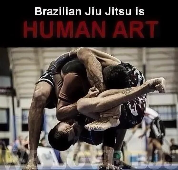Разница грэпплинг и джиу джитсу. БЖЖ Мем. Джиу джитсу Мем. Brazilian Jiu Jitsu Art. Джитсу человек