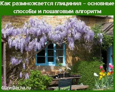 Китайская посадка