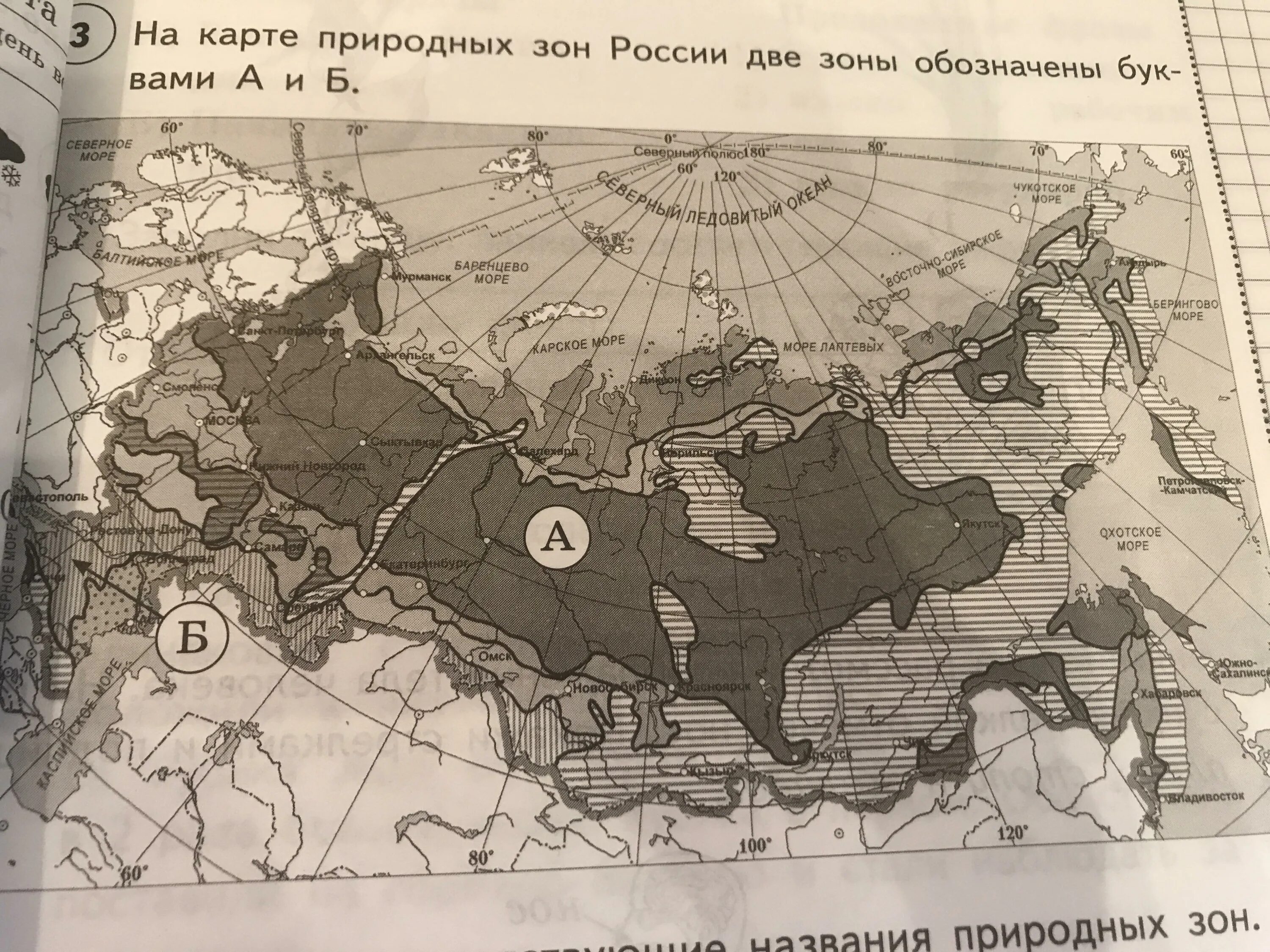 Природные зоны россии впр ответы. Природные зоны на карте с названиями. Карта природных зон России. Обозначение природных зон на карте. Рассмотри карту природных зон России.