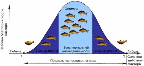 Схема приведенных зон