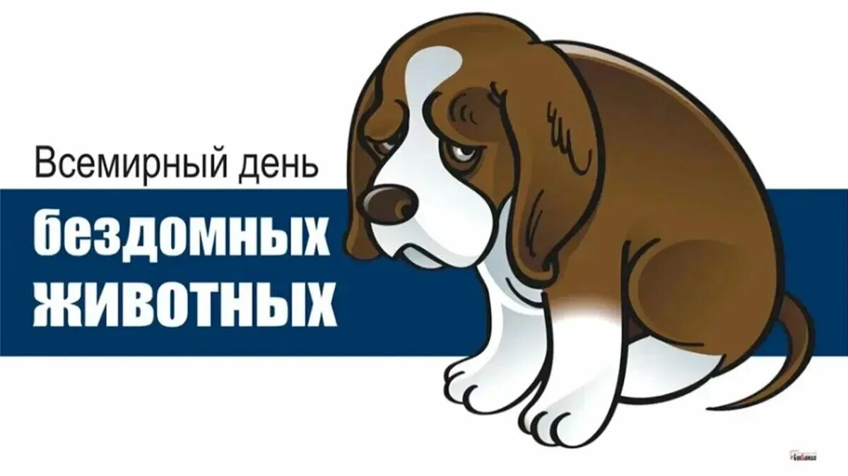 День защиты бездомных. Всемирный день бродячих животных. 20 августа день бездомных животных. всемирный день бездомных животных 2025. • 19 августа - всемирный день защиты бездомных животных.