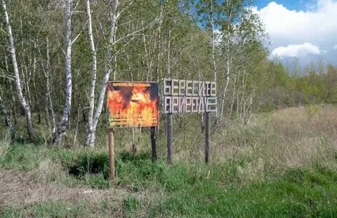 Челябинское лесничество