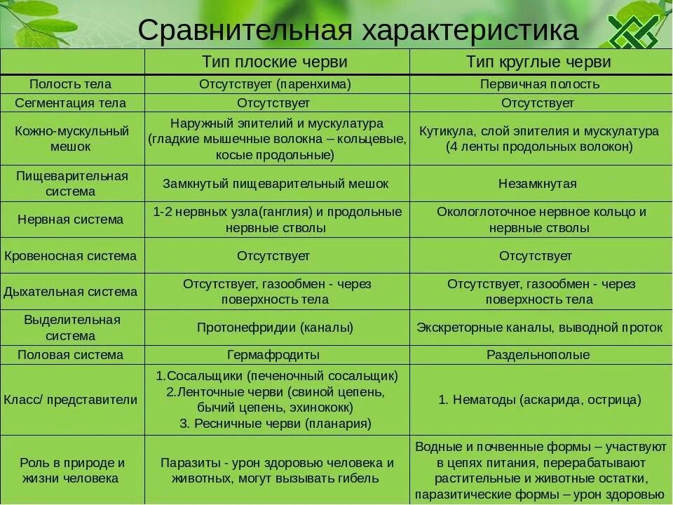 Какие различия есть между. Биология 7 класс таблица плоские черви круглые черви кольчатые черви. Тип плоские черви общая характеристика 7 класс таблица. Сравнительная характеристика плоских червей биология 7 класс. Пищеварительная система плоских червей 7 класс биология таблица.