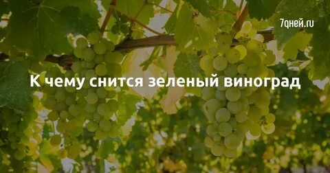 К чему снится виноград во сне мужчине