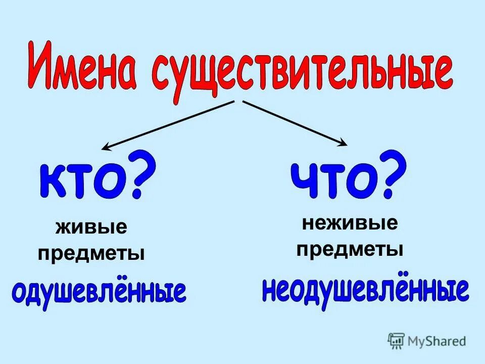 Тема существительное. Имя существительное. Имя существительное 2 класс. Существительное 2 класс. Что такое существительное?.