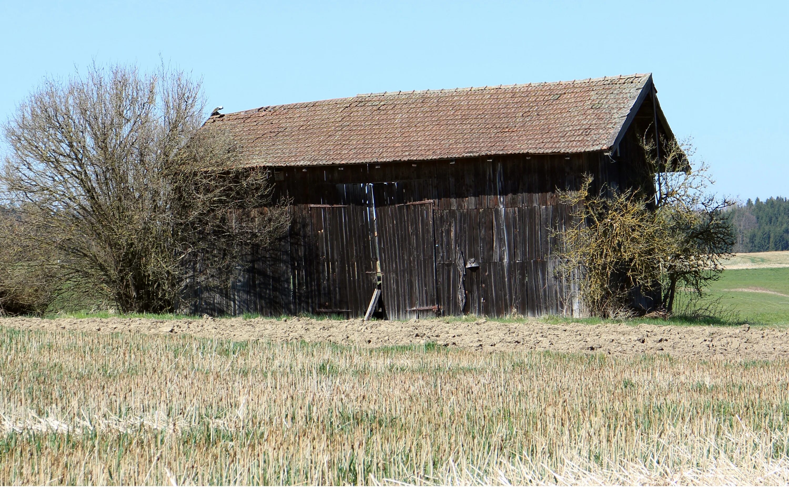 Old field