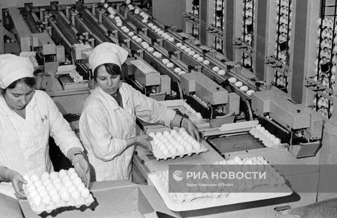 Глебовская птицефабрика