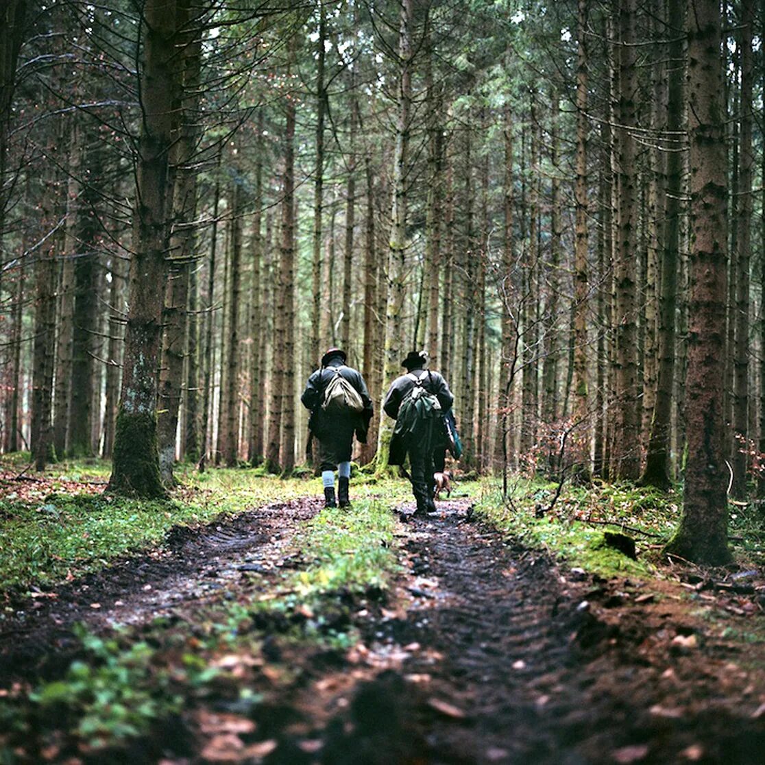 человек в лесу. отец и сын на рассвете. по тропам однажды. по тропам однажды. по тропам однажды.