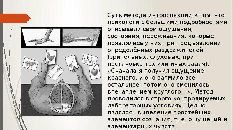 Суть метода интроспекции. Интроспективный метод. разновидности метода интроспекции.. характеристика метода интроспекции. интроспекция или метод самонаблюдения.