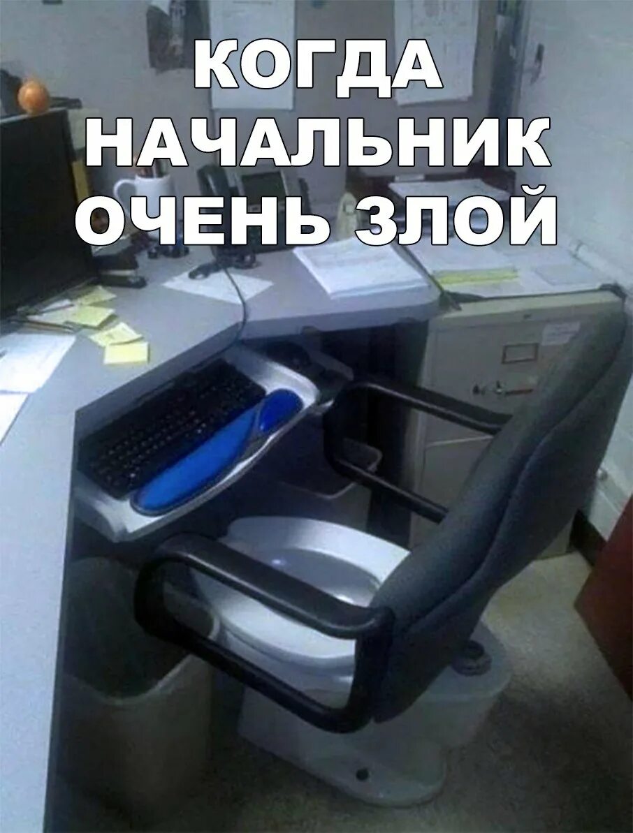Отпуск офис. Приколы на рабочем месте в офисе. Начальник работает в отпуске. Мемы про начальника в отпуске. Заявление на отпуск прикол в картинках.