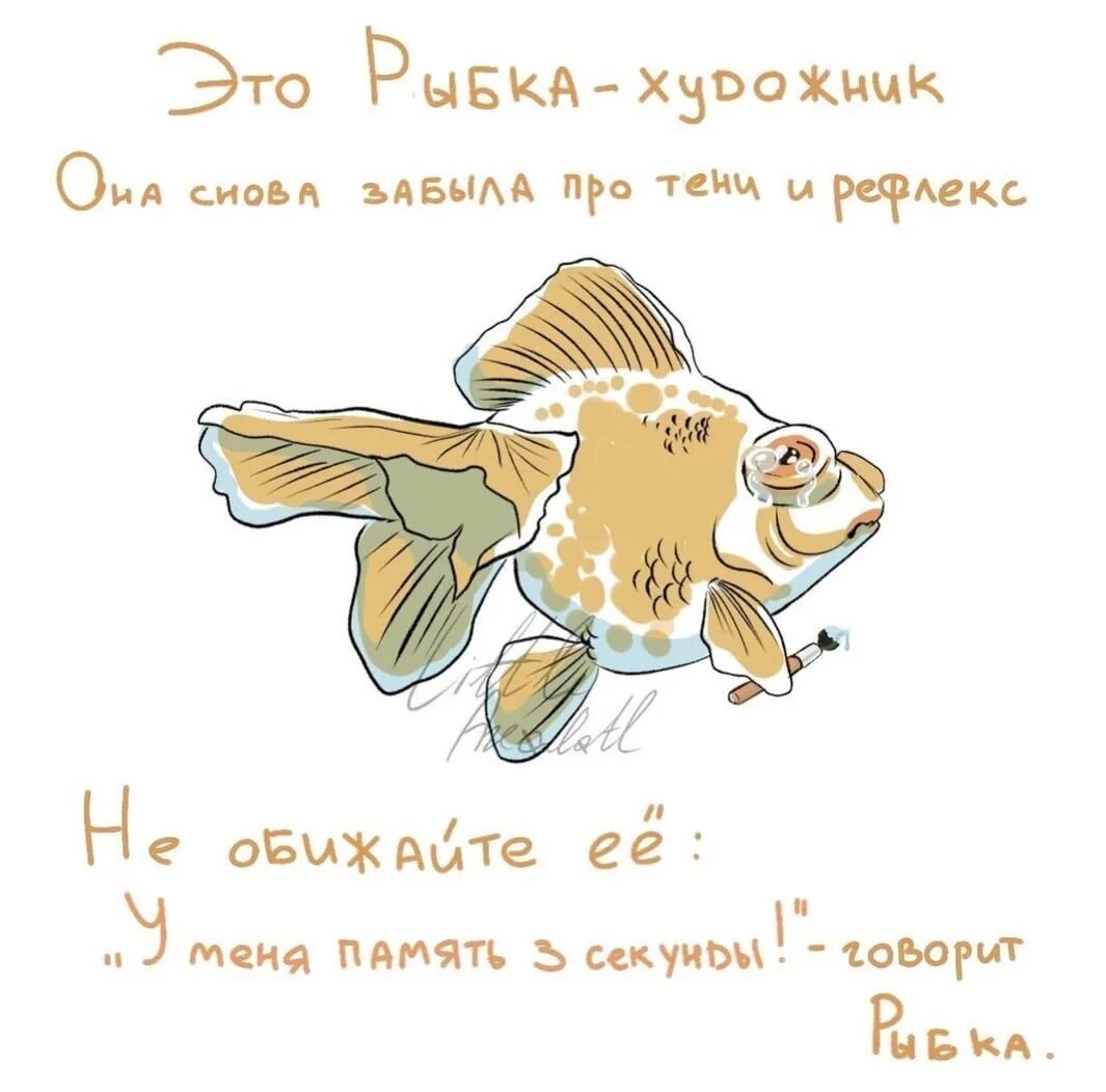Статусы про рыб. Рыбка юмор. Прикольные рыбки. Рыбка прикол. Рыба в воздухе.