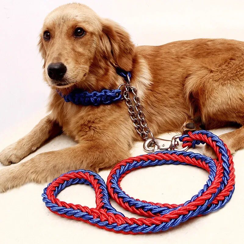 Pet product. Поводок для собаки (цепь с карабином, 2м Prime Dog Pride). Поводок для собак Dog Collar. Pet Leash поводок. Собака на цепи.