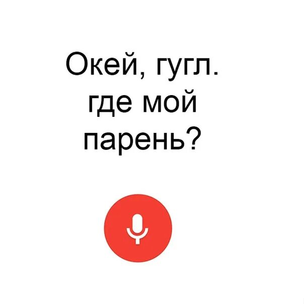 Где мой парень. Окей гугл. Где окей гугл. Окей гугл картинка.