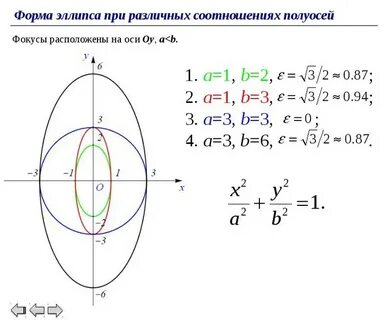 Виды овалов