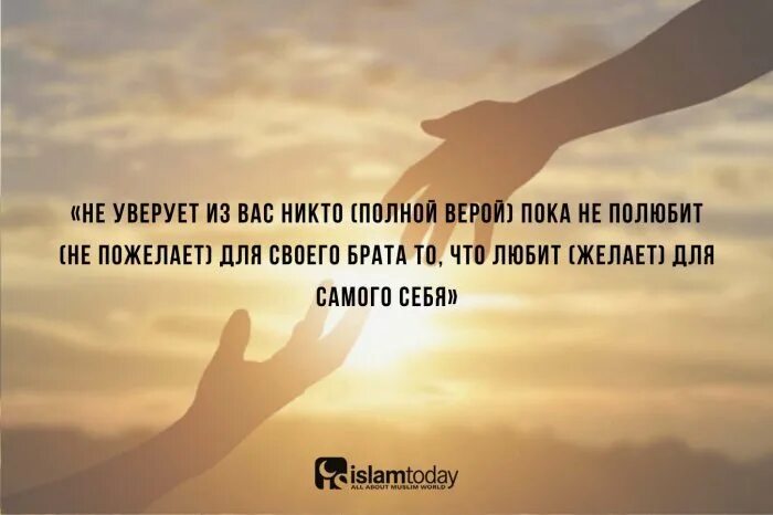 Пока никто не. Не уверует из вас никто. Желай своему брату того чего желаешь себе хадис. Мусульманские цитаты со смыслом.