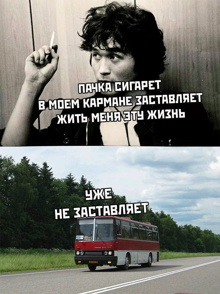 Цой мемы. Мемы про Цоя и Икарус. Цой икарус