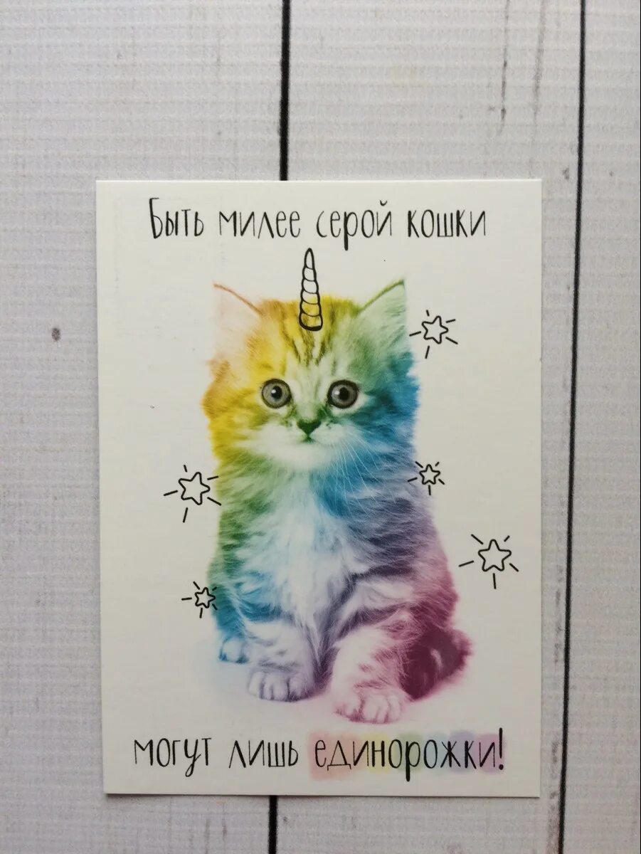 Кусочек счастья для бездомной кошки. Мастерская подарков амазонки. Милая мини открытка для подруги. Кусочек счастья для кошки отзывы. Книги про пушистых.