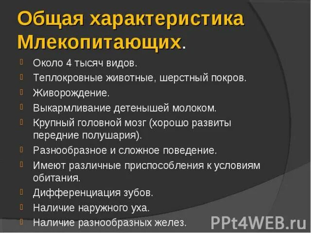 Особенности млекопитающих кратко. Характеристика млекопитающих. характеристика млекопитающих 7. класс млекопитающие или звери общая характеристика. биология общая характеристика млекопитающих.